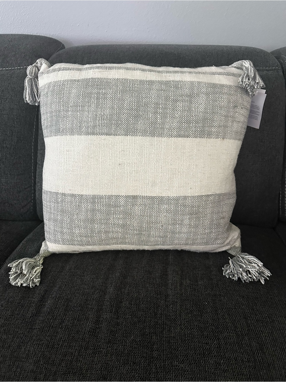 Caldera Soft Gray and Cream Striped Tassel Throw Pillow